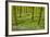 Wild Garlic and Bluebell Carpet in Beech Wood, Hallerbos, Belgium-Biancarelli-Framed Photographic Print