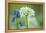 Wild Garlic and Bluebell in Flower, Beech Wood, Hallerbos, Belgium-Biancarelli-Framed Premier Image Canvas