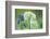 Wild Garlic and Bluebell in Flower, Beech Wood, Hallerbos, Belgium-Biancarelli-Framed Photographic Print