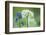 Wild Garlic and Bluebell in Flower, Beech Wood, Hallerbos, Belgium-Biancarelli-Framed Photographic Print