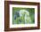 Wild Garlic and Bluebell in Flower, Beech Wood, Hallerbos, Belgium-Biancarelli-Framed Photographic Print