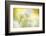 Wild garlic close-up, Combe Valley, Cornwall, UK-Ross Hoddinott-Framed Photographic Print