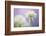 Wild garlic flower, Lanhydrock woodland, Cornwall, UK-Ross Hoddinott-Framed Photographic Print