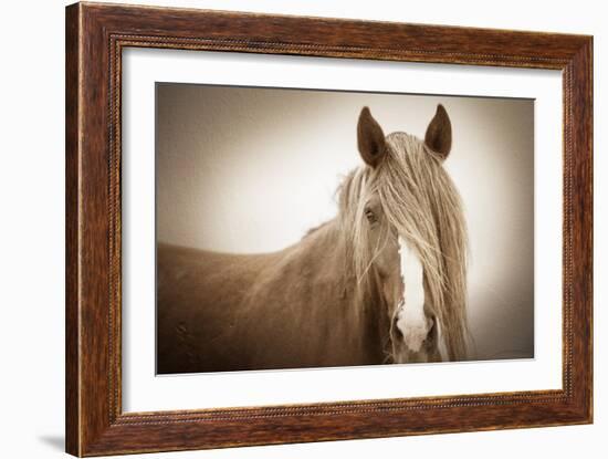 Wild Glow-KaCee Erle-Framed Art Print