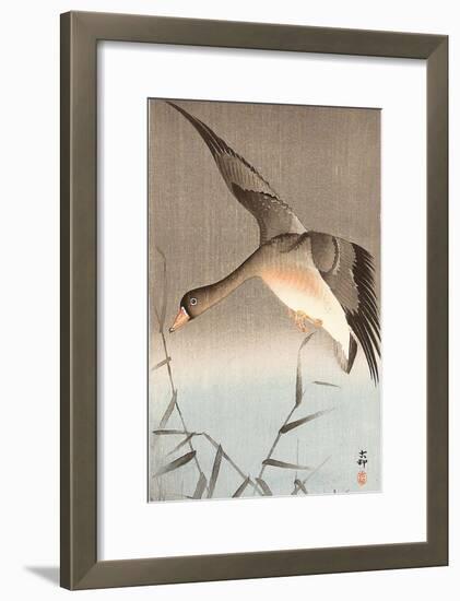 Wild Goose-Koson Ohara-Framed Giclee Print