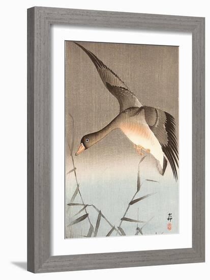 Wild Goose-Koson Ohara-Framed Giclee Print