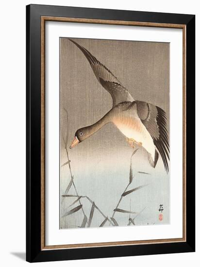 Wild Goose-Koson Ohara-Framed Giclee Print