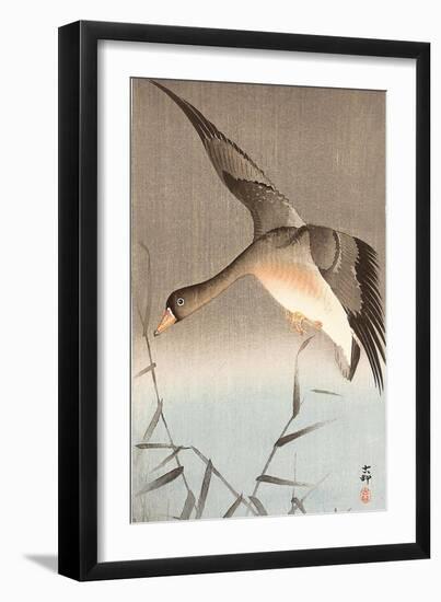 Wild Goose-Koson Ohara-Framed Giclee Print