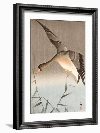 Wild Goose-Koson Ohara-Framed Giclee Print