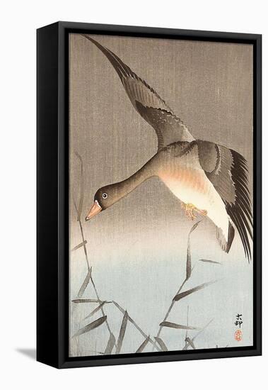 Wild Goose-Koson Ohara-Framed Premier Image Canvas