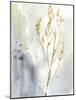 Wild Grass I-Jennifer Goldberger-Mounted Art Print