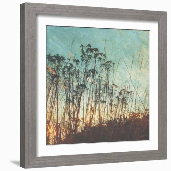 Wild Grass I-Amy Melious-Framed Art Print