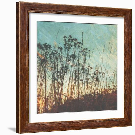 Wild Grass I-Amy Melious-Framed Art Print