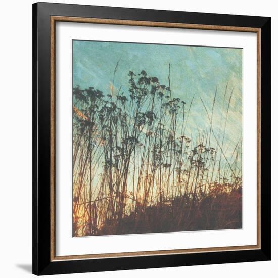 Wild Grass I-Amy Melious-Framed Art Print