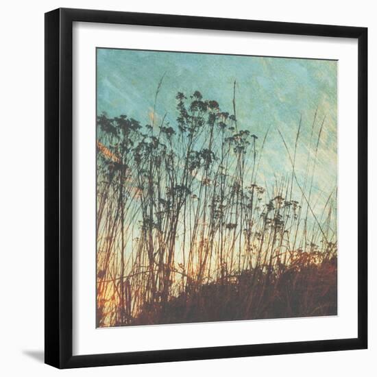 Wild Grass I-Amy Melious-Framed Art Print