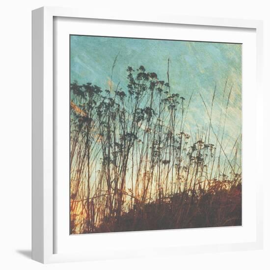 Wild Grass I-Amy Melious-Framed Art Print