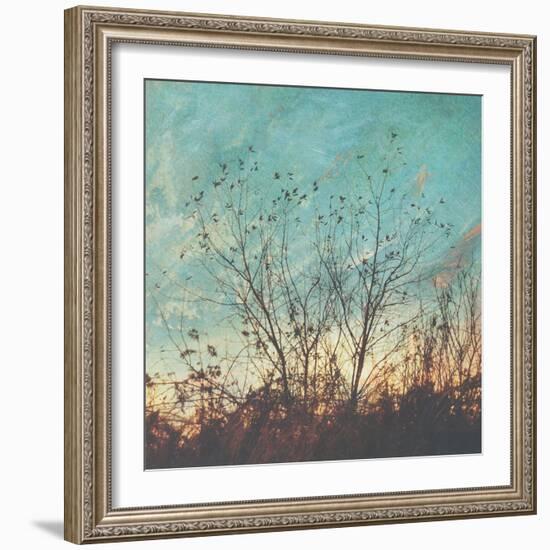 Wild Grass II-Amy Melious-Framed Art Print