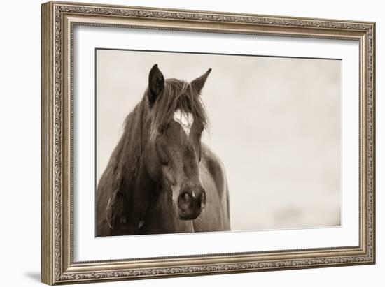 Wild Hearts-KaCee Erle-Framed Art Print