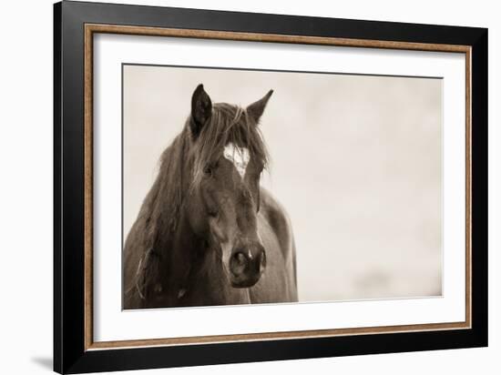 Wild Hearts-KaCee Erle-Framed Art Print