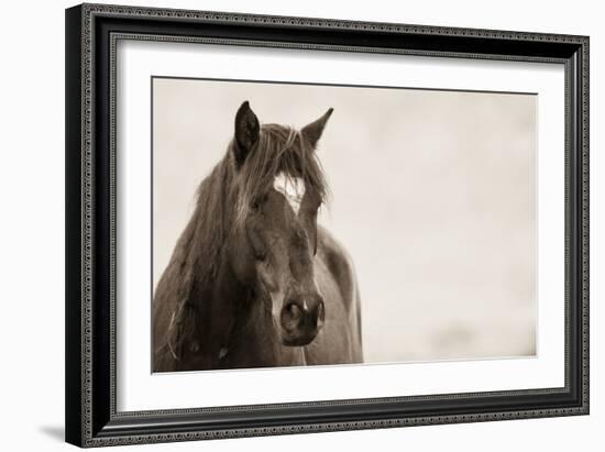 Wild Hearts-KaCee Erle-Framed Art Print