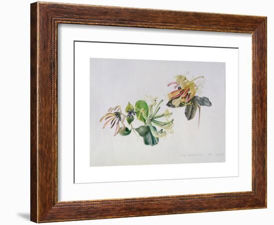 Wild Honeysuckles, 1999-Rebecca John-Framed Giclee Print