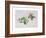 Wild Honeysuckles, 1999-Rebecca John-Framed Giclee Print