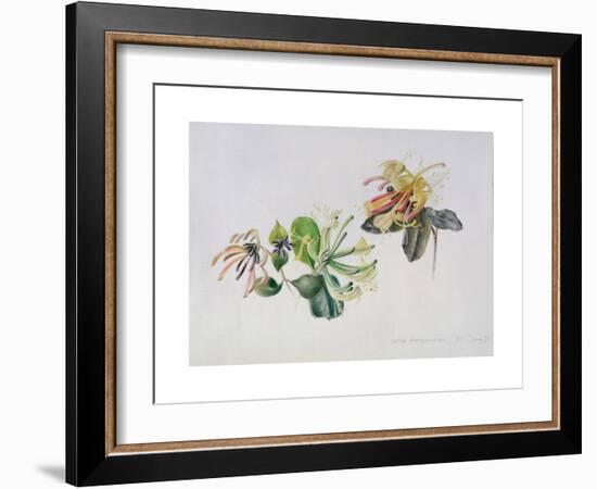 Wild Honeysuckles, 1999-Rebecca John-Framed Giclee Print