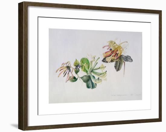 Wild Honeysuckles, 1999-Rebecca John-Framed Giclee Print