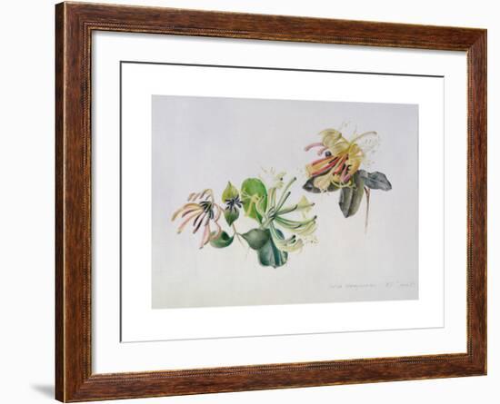 Wild Honeysuckles, 1999-Rebecca John-Framed Giclee Print