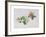 Wild Honeysuckles, 1999-Rebecca John-Framed Giclee Print