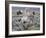 Wild Horse Babies Playing, Wyoming, Usa-Larry Ditto-Framed Photographic Print
