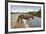 Wild Horse Crossing Road-Paul Souders-Framed Photographic Print