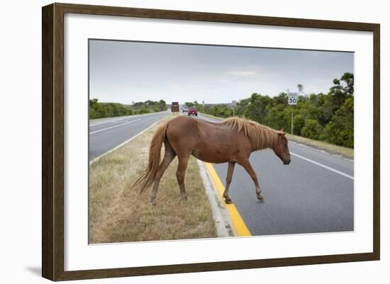 Wild Horse Crossing Road-Paul Souders-Framed Photographic Print