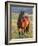 Wild Horse in Theodore Roosevelt National Park, North Dakota, Usa-Chuck Haney-Framed Photographic Print