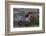 Wild Horse in Theodore Roosevelt National Park, North Dakota, Usa-Chuck Haney-Framed Photographic Print