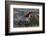 Wild Horse in Theodore Roosevelt National Park, North Dakota, Usa-Chuck Haney-Framed Photographic Print