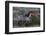 Wild Horse in Theodore Roosevelt National Park, North Dakota, Usa-Chuck Haney-Framed Photographic Print