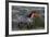 Wild Horse in Theodore Roosevelt National Park, North Dakota, Usa-Chuck Haney-Framed Photographic Print