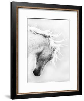 Wild Horse / Mustang Shaking Head and Mane, Adobe Town Herd Area, Southwestern Wyoming, Usa-Carol Walker-Framed Photographic Print