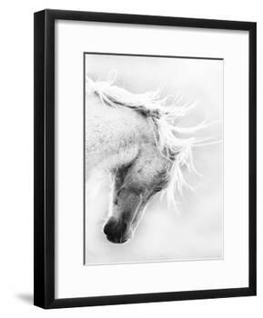 Wild Horse / Mustang Shaking Head and Mane, Adobe Town Herd Area, Southwestern Wyoming, Usa-Carol Walker-Framed Photographic Print