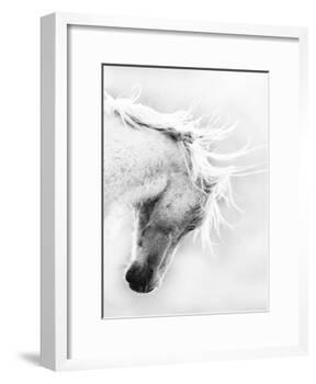 Wild Horse / Mustang Shaking Head and Mane, Adobe Town Herd Area, Southwestern Wyoming, Usa-Carol Walker-Framed Photographic Print