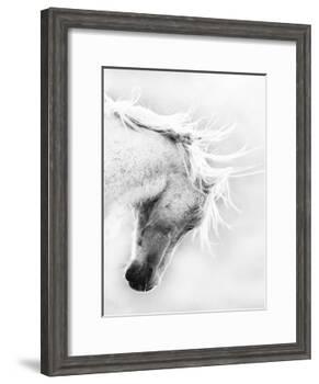 Wild Horse / Mustang Shaking Head and Mane, Adobe Town Herd Area, Southwestern Wyoming, Usa-Carol Walker-Framed Photographic Print