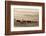 Wild Horse Sanctuary-Danita Delimont-Framed Photo