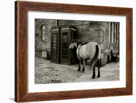 Wild Horse Standing Next To Two Phone Boxes-Fay Godwin-Framed Giclee Print
