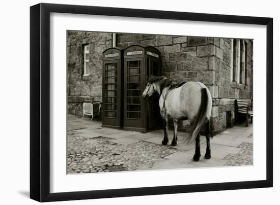 Wild Horse Standing Next To Two Phone Boxes-Fay Godwin-Framed Giclee Print