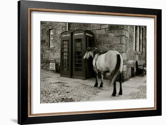 Wild Horse Standing Next To Two Phone Boxes-Fay Godwin-Framed Giclee Print