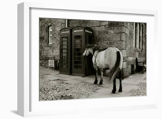 Wild Horse Standing Next To Two Phone Boxes-Fay Godwin-Framed Giclee Print