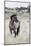 Wild Horse, Steens Mountains-Ken Archer-Mounted Photographic Print