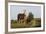 Wild Horse, Steens Mountains-Ken Archer-Framed Photographic Print