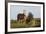 Wild Horse, Steens Mountains-Ken Archer-Framed Photographic Print